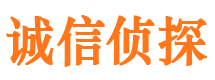 龙沙市侦探公司